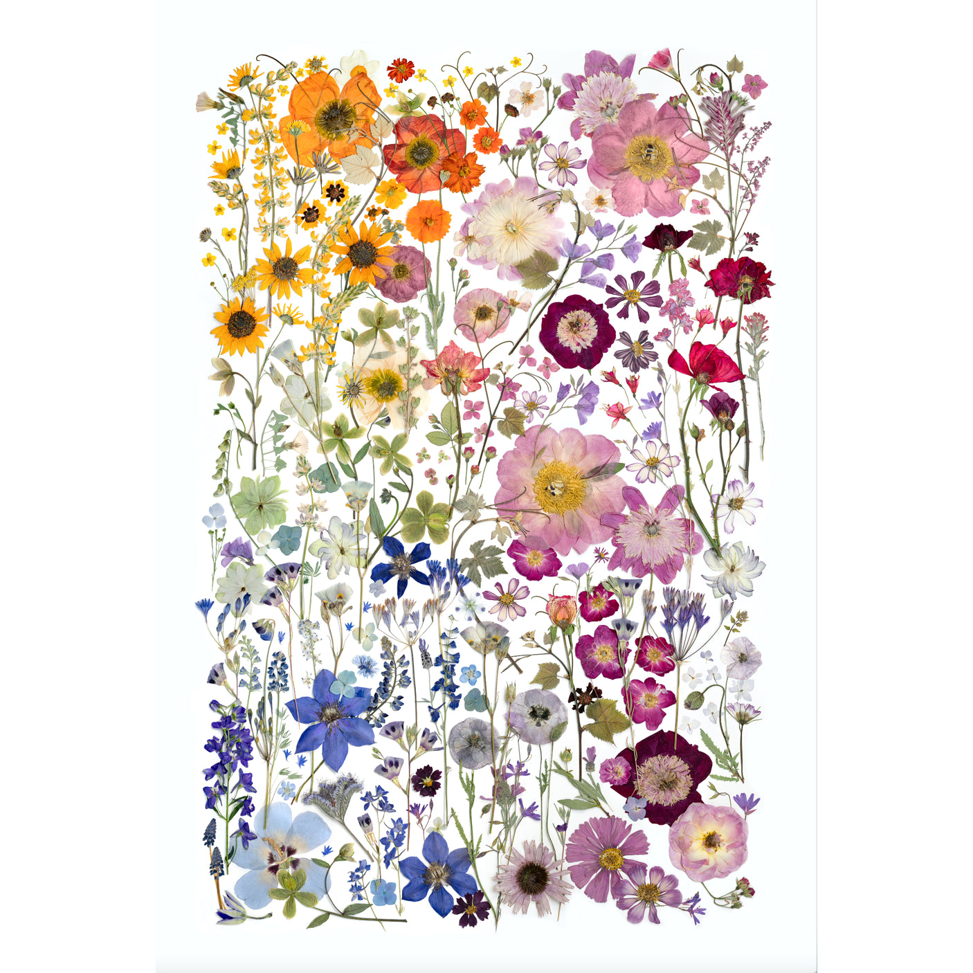 Spring Fever