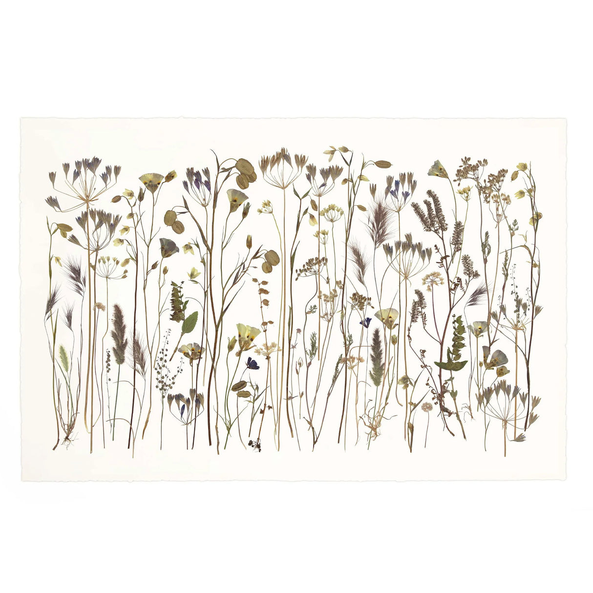 As Spring Fades