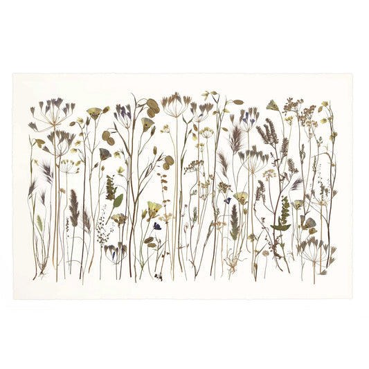 As Spring Fades