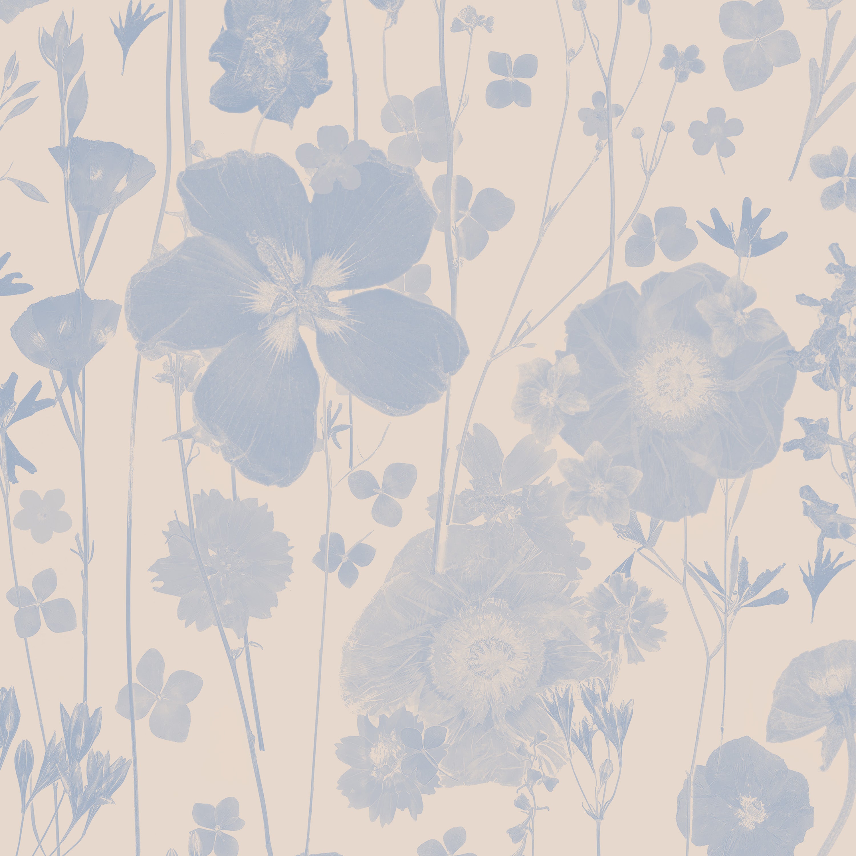 Beautiful Stranger Delft Wallpaper