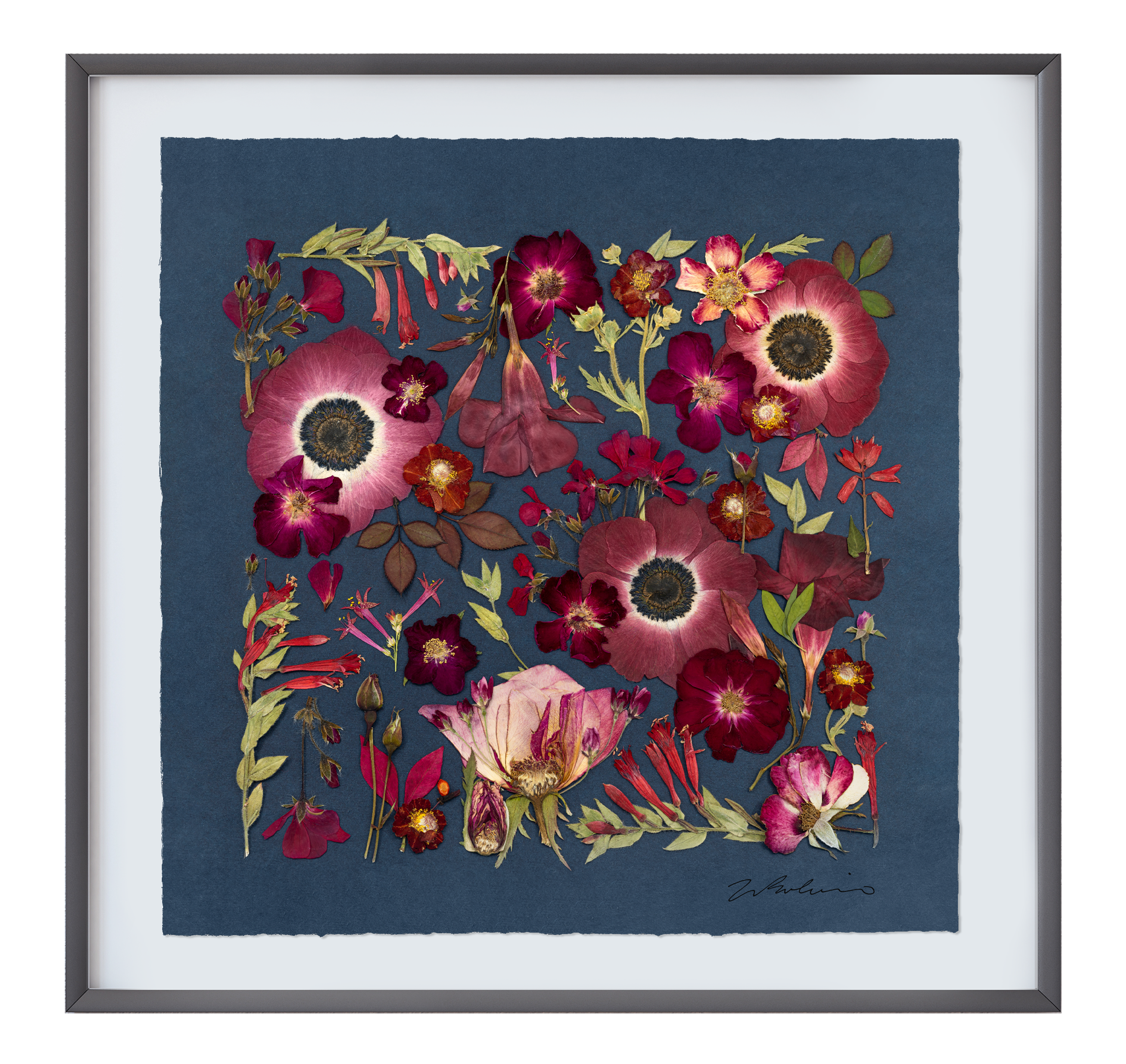 Jewels of the Garden