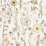 Pattern of pressed flowers and herbs on a light background