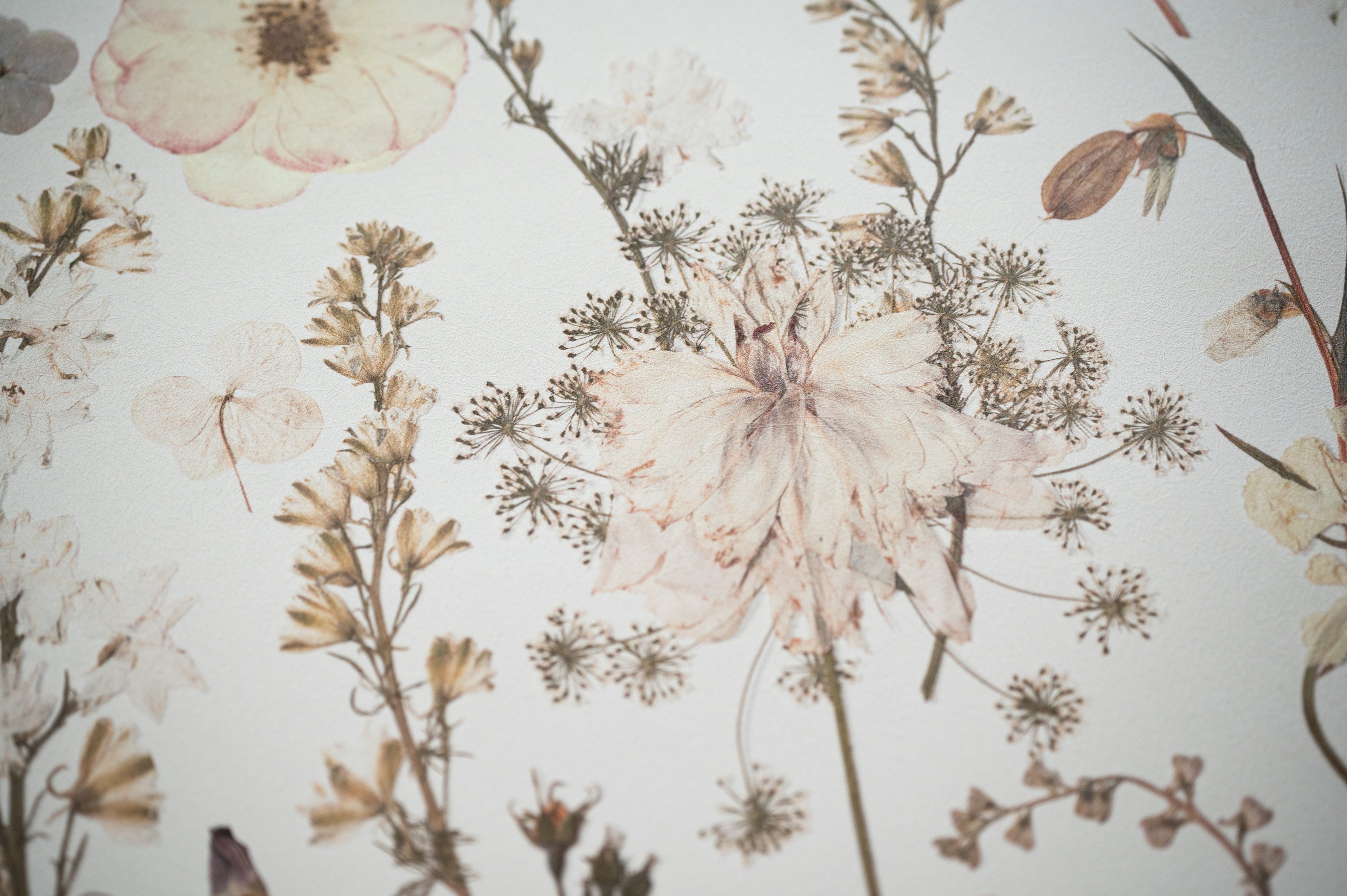Domain of The Flowerings | The Creative World of Tricia Paoluccio