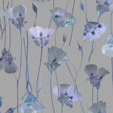 Butterfly Mariposa Lily