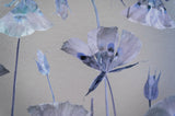 Butterfly Mariposa Lily