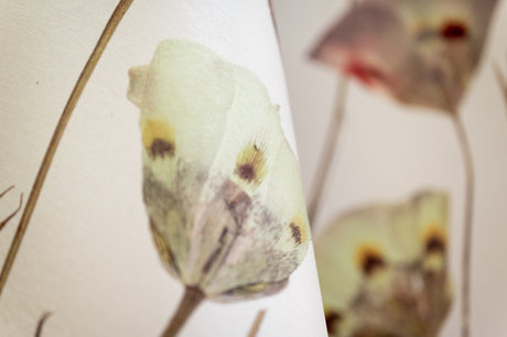 Butterfly Mariposa Lily