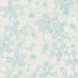 Cherry Blossoms