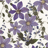 Clematis