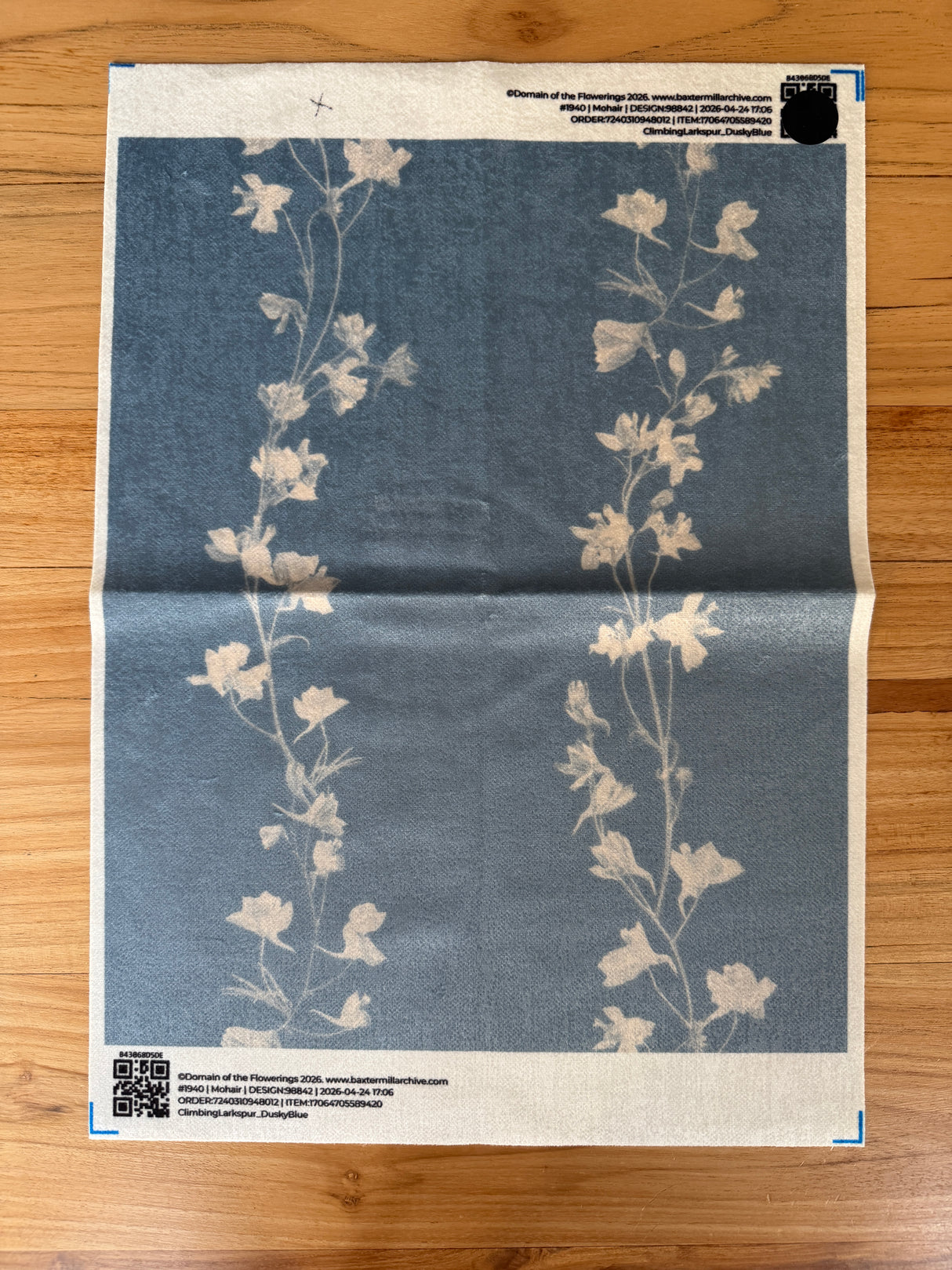 Climbing Larkspur Dusky Blue