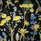 Night Meadow