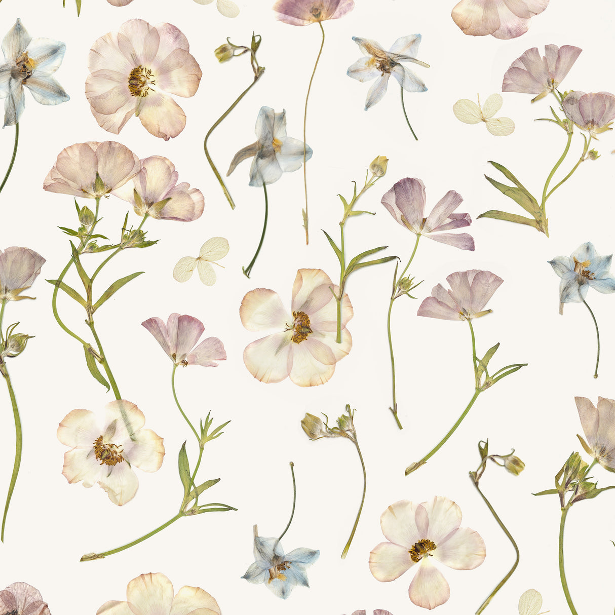 Pattern of small flowers on a white background