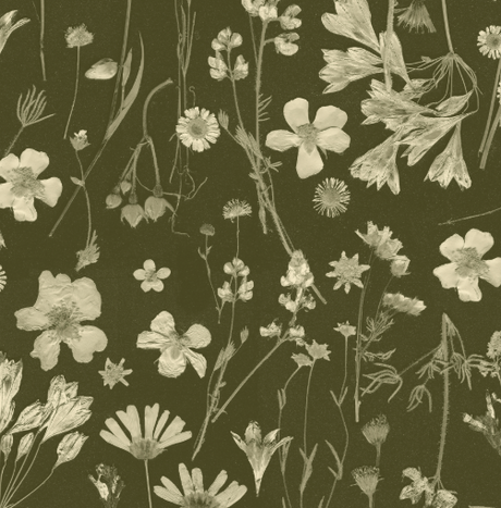 Pattern of white flowers and leaves on a dark green background