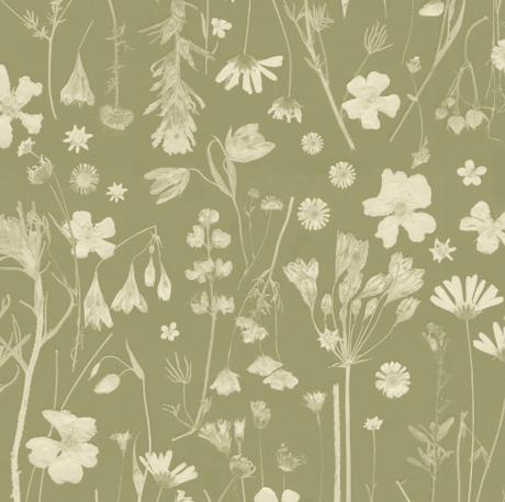 Pattern of white flowers and plants on a green background