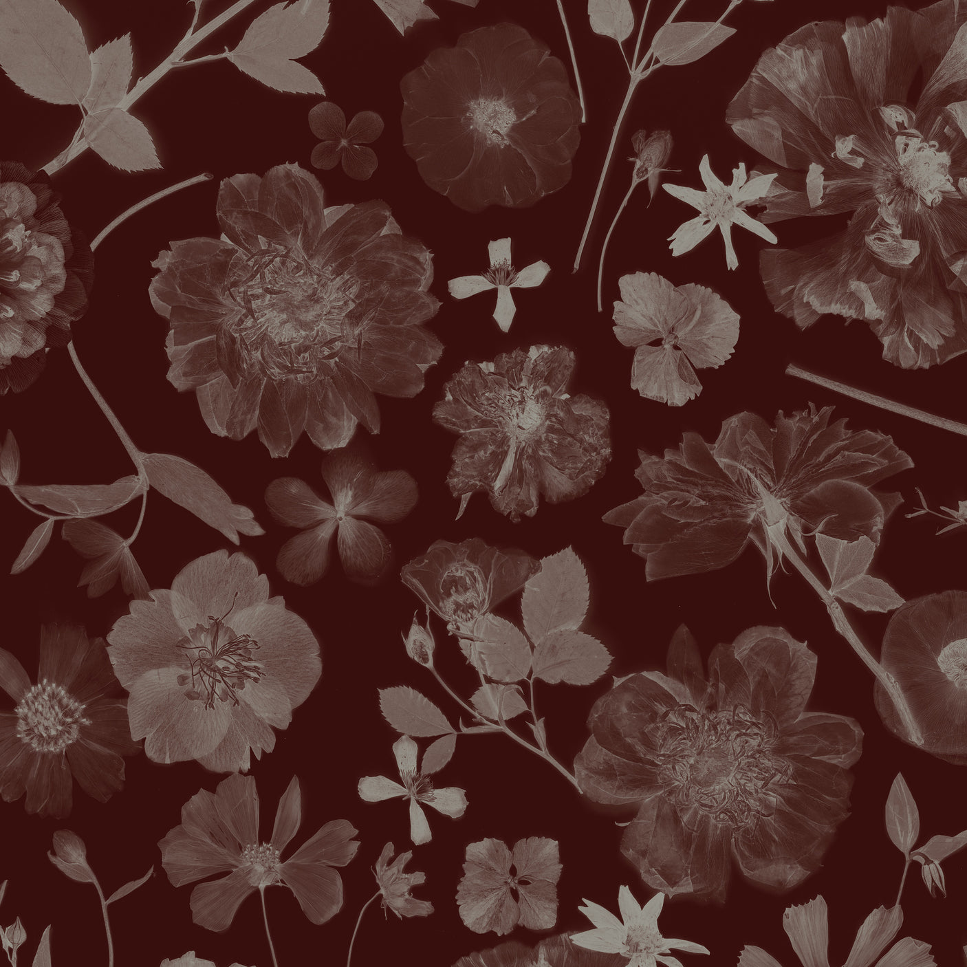 Garden Party - Vintage Merlot