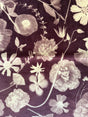 Floral pattern with white flowers on a dark purple background
