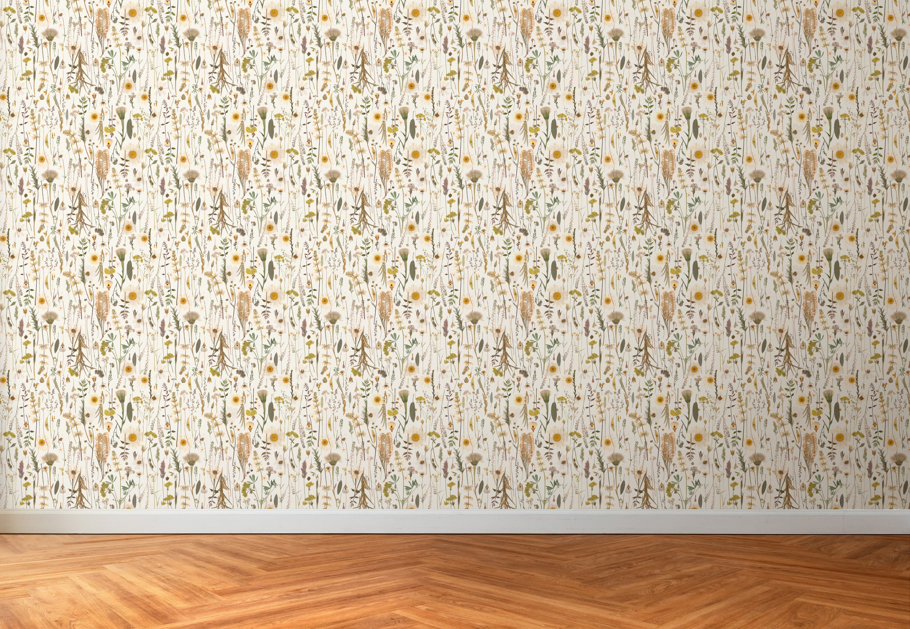 Golden Hour Pure Wallpaper