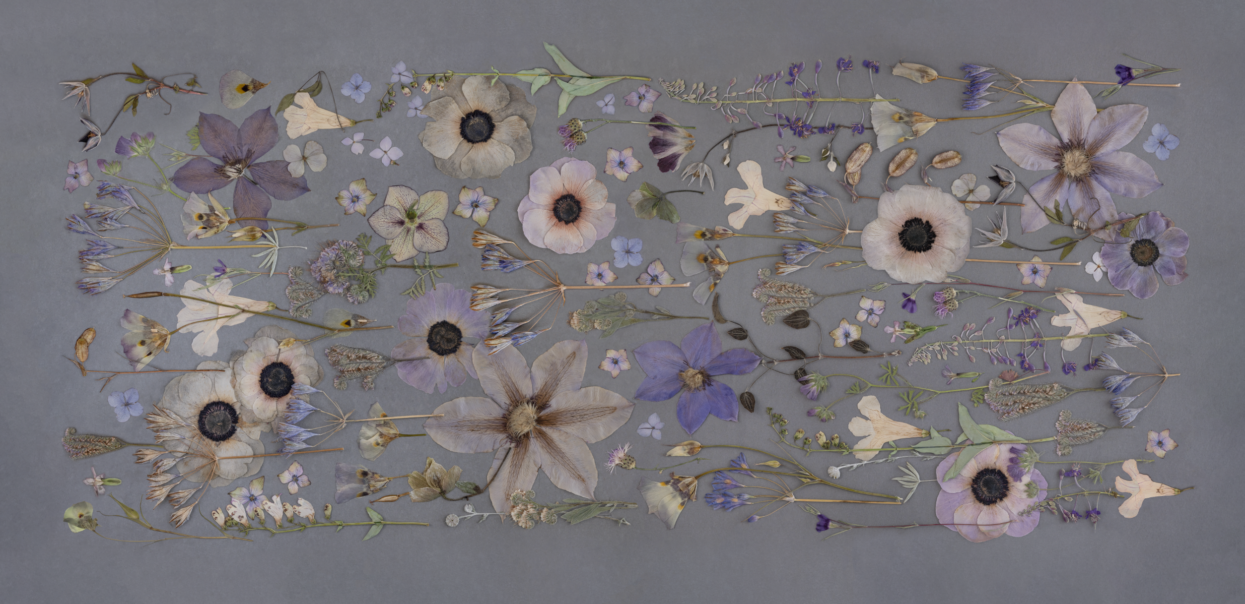 Gray Gardens Wall Mural