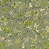Hellebore NEW