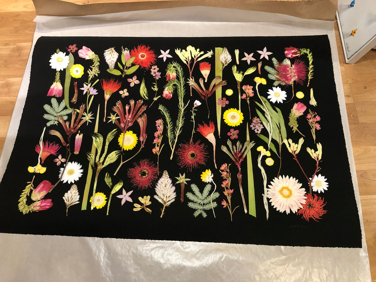 Australian Wildflowers