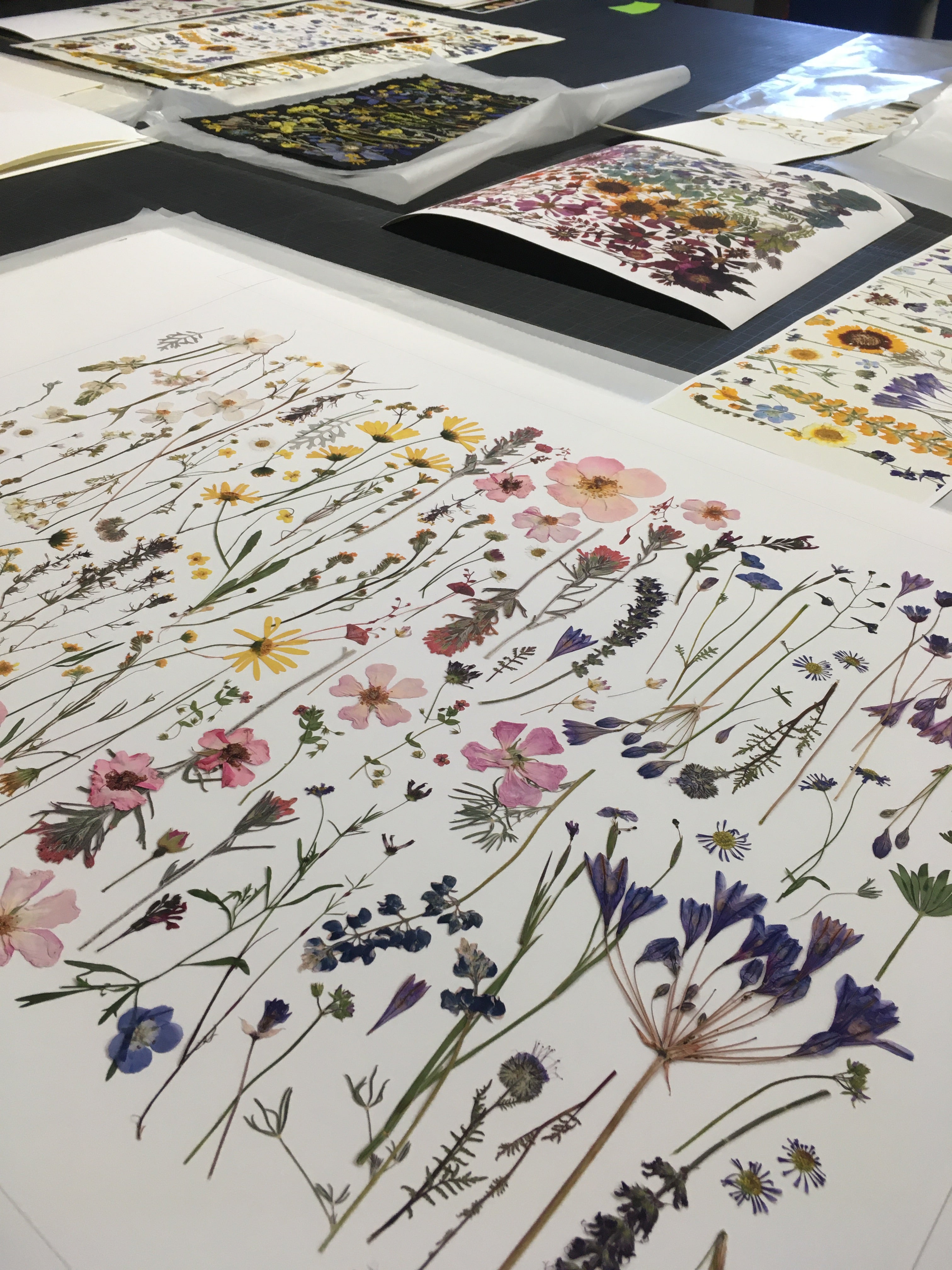 Bespoke Wildflowers