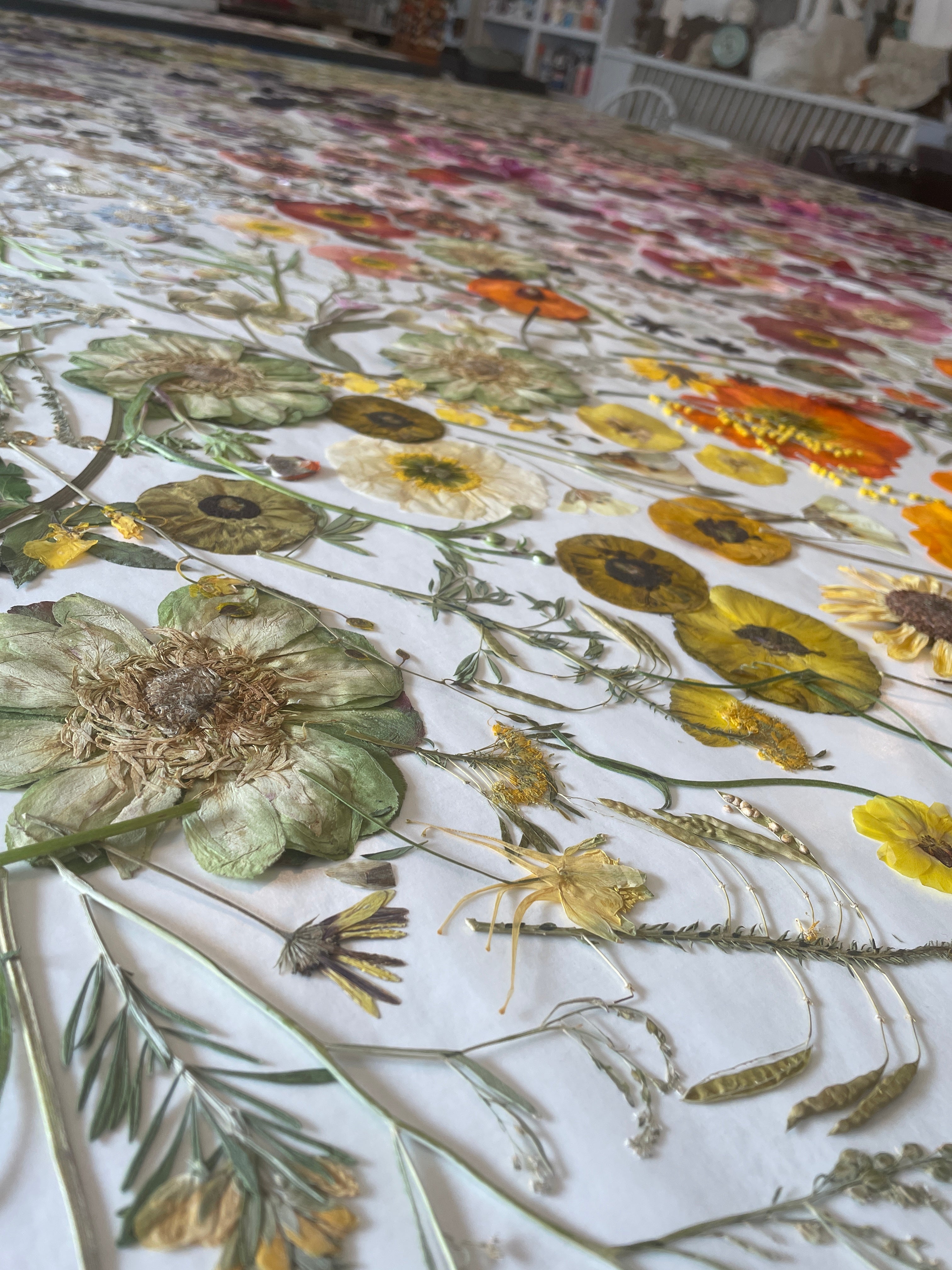 Domain of The Flowerings | The Creative World of Tricia Paoluccio