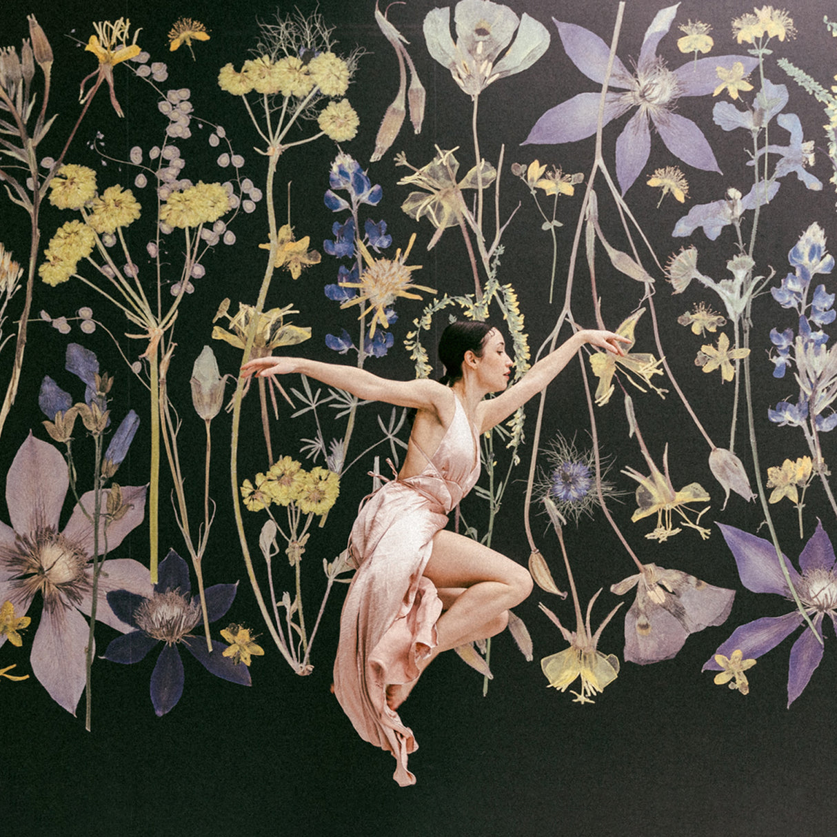 Night Meadow Wall Mural
