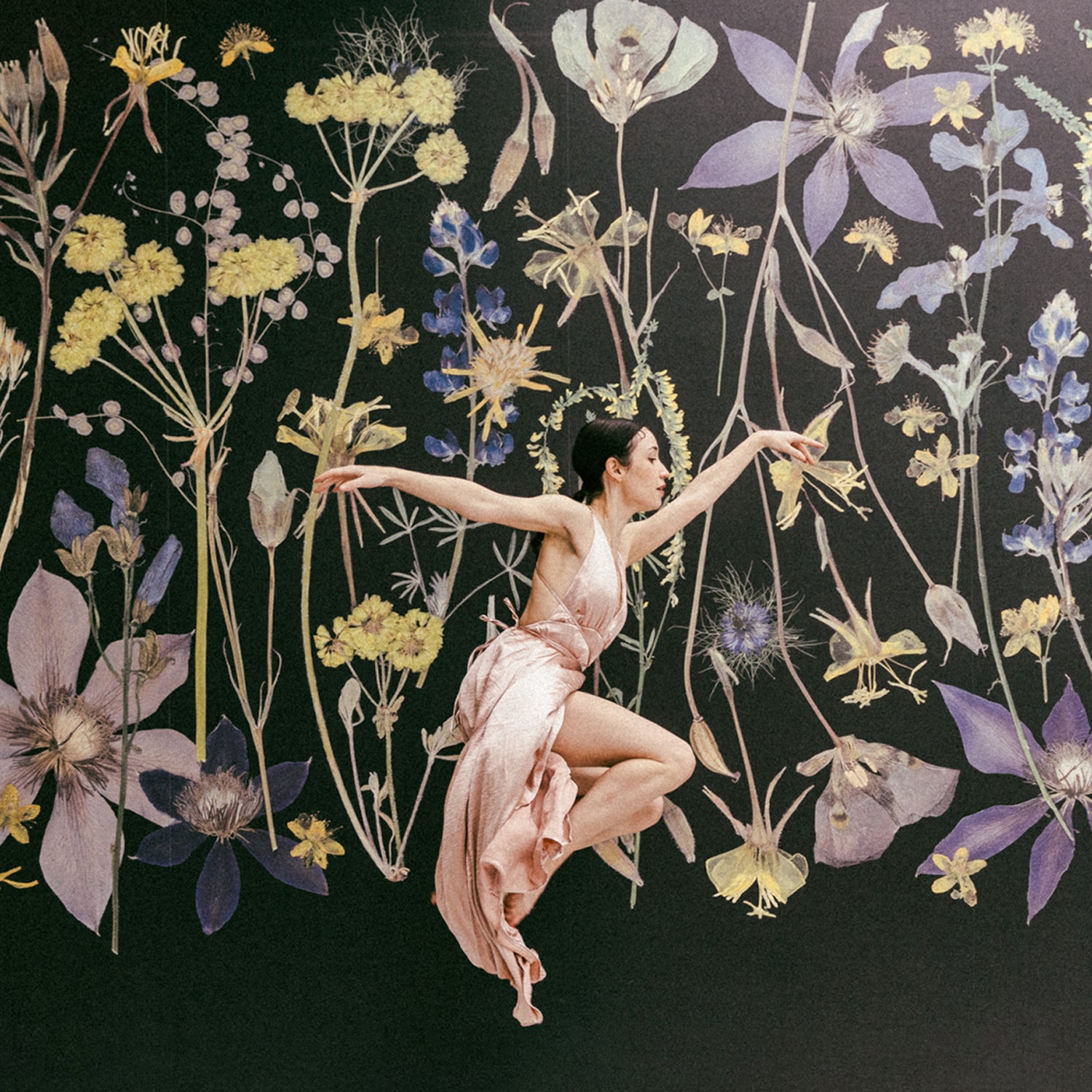 Night Meadow Wall Mural
