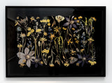 Night Meadow