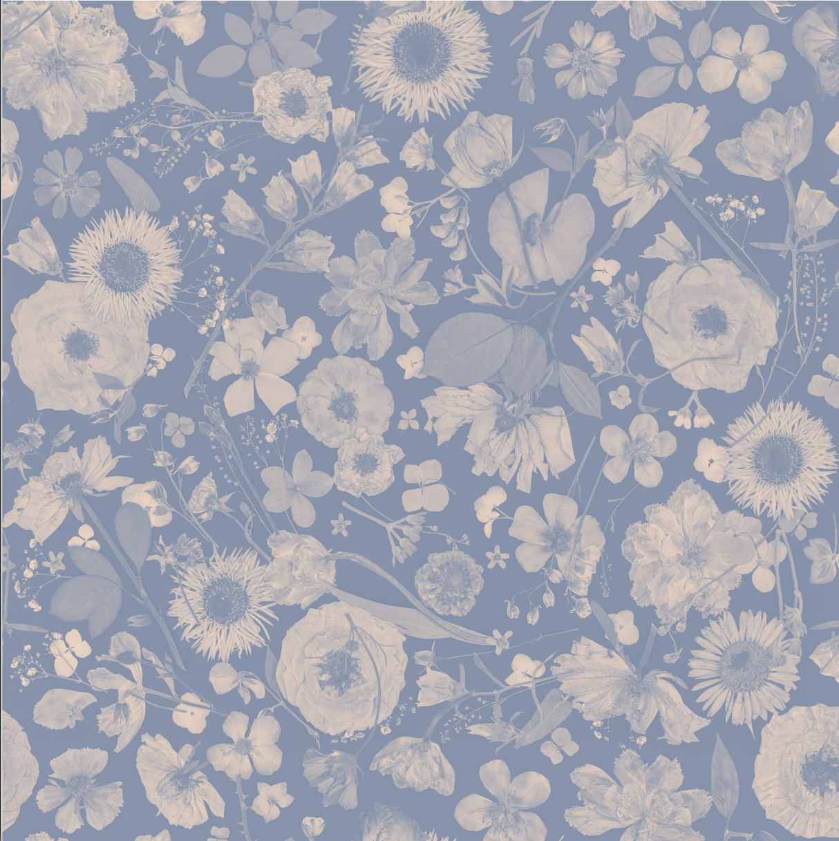 Floral pattern with light blue flowers on a blue background