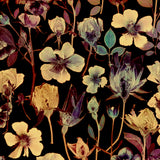 Radiant Rose - Jazzy