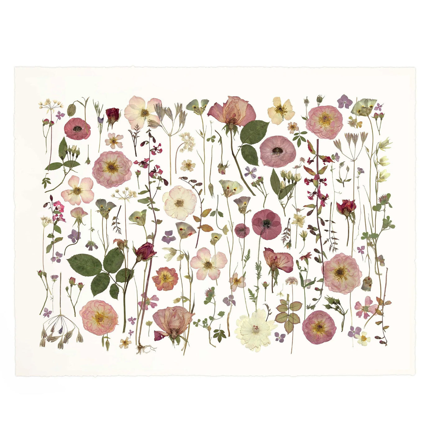 Roseala
