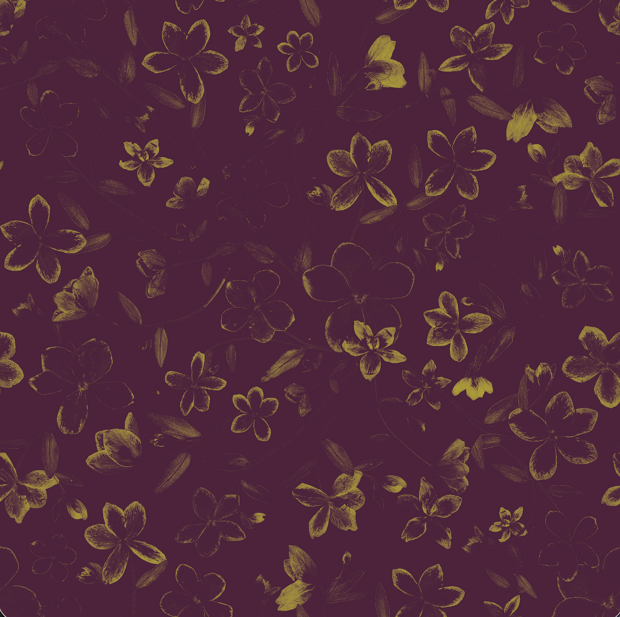 Hellebore Impression