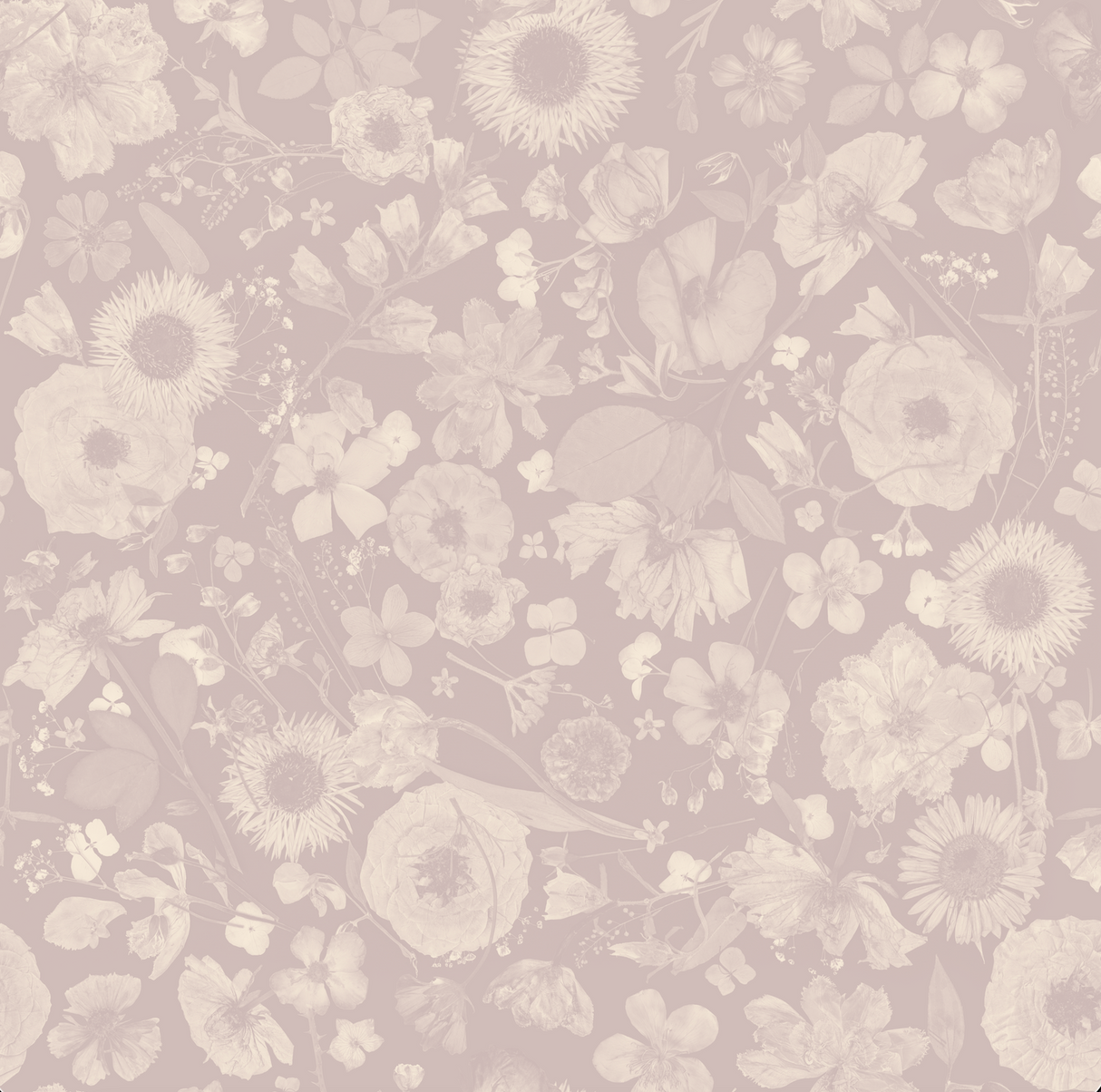 Petals in the Night Tonal
