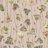 Butterfly Mariposa Lily Mallow Wallpaper