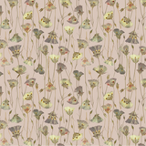 Butterfly Mariposa Lily Mallow Wallpaper
