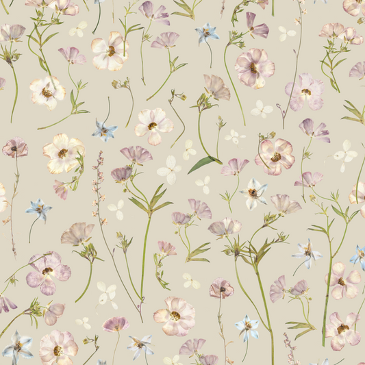 Dancing at Dawn Oyster Wallpaper