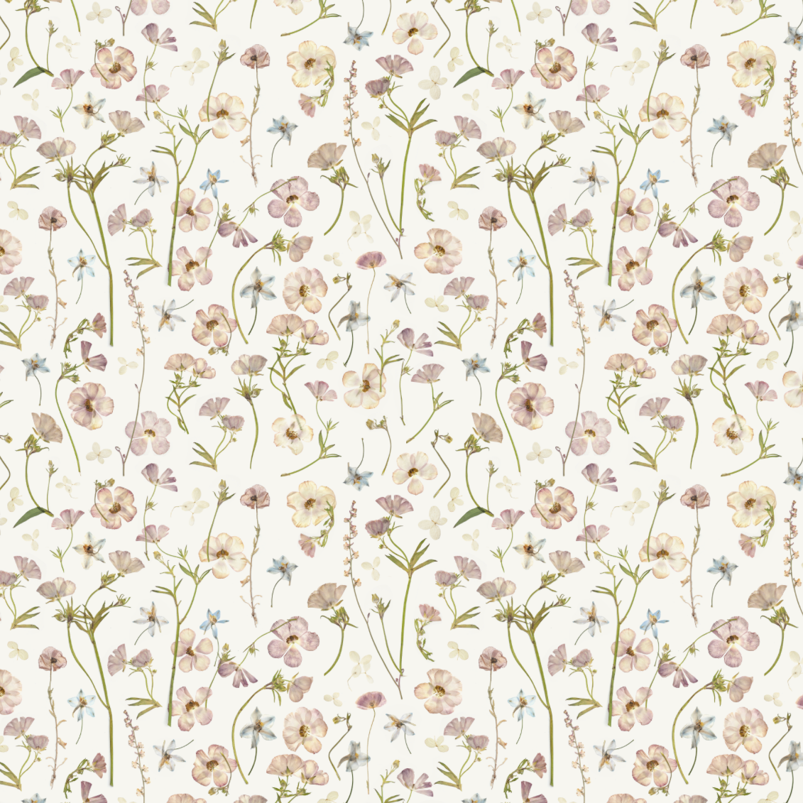 Dancing at Dawn Pure Wallpaper