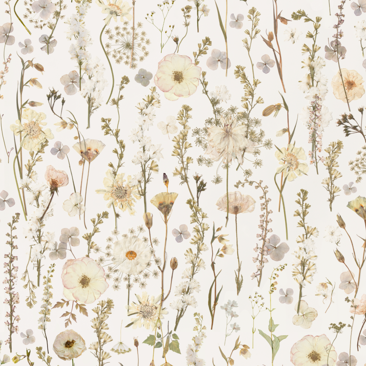 Bridal Shower Pure Wallpaper