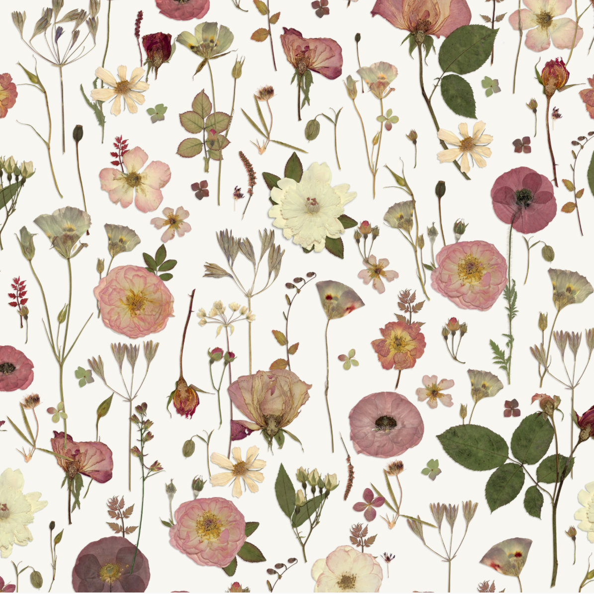 Springtime Joy Pure Wallpaper