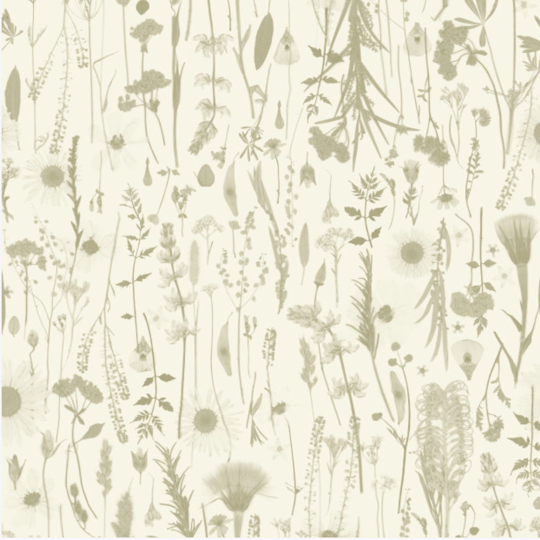 Golden Hour Pistachio Wallpaper