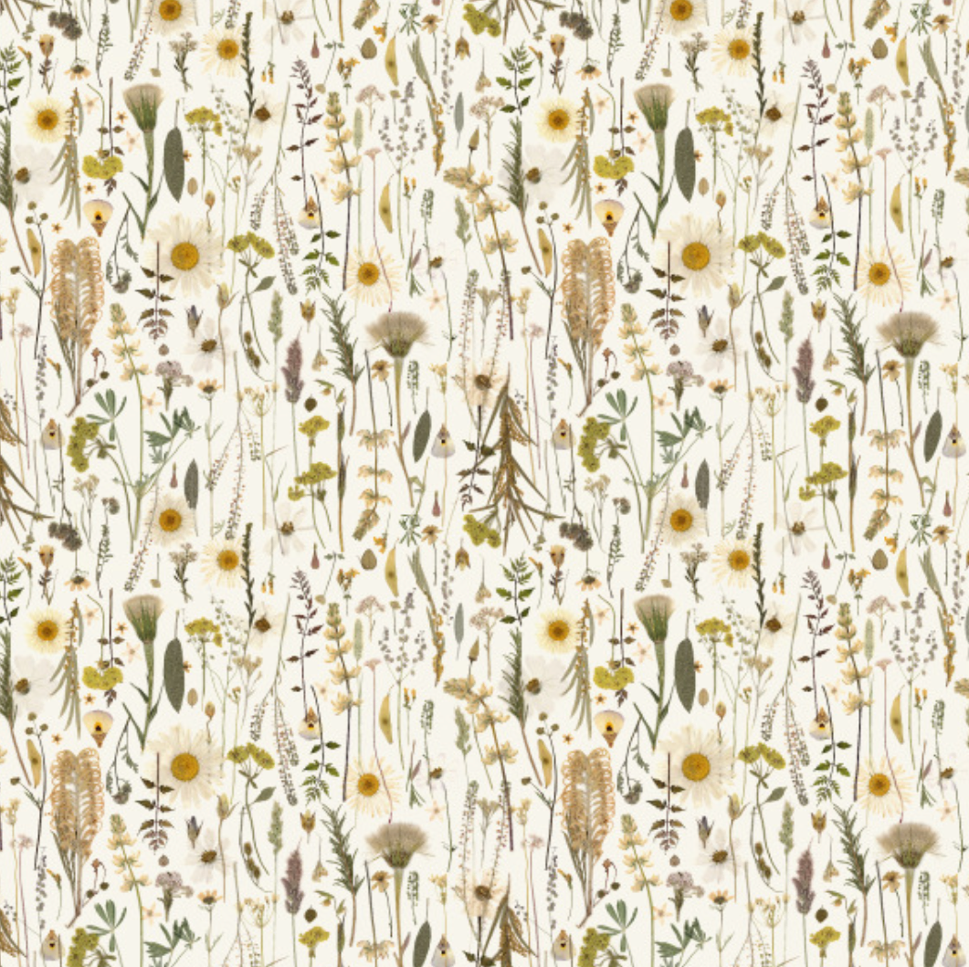 Golden Hour Pure Wallpaper