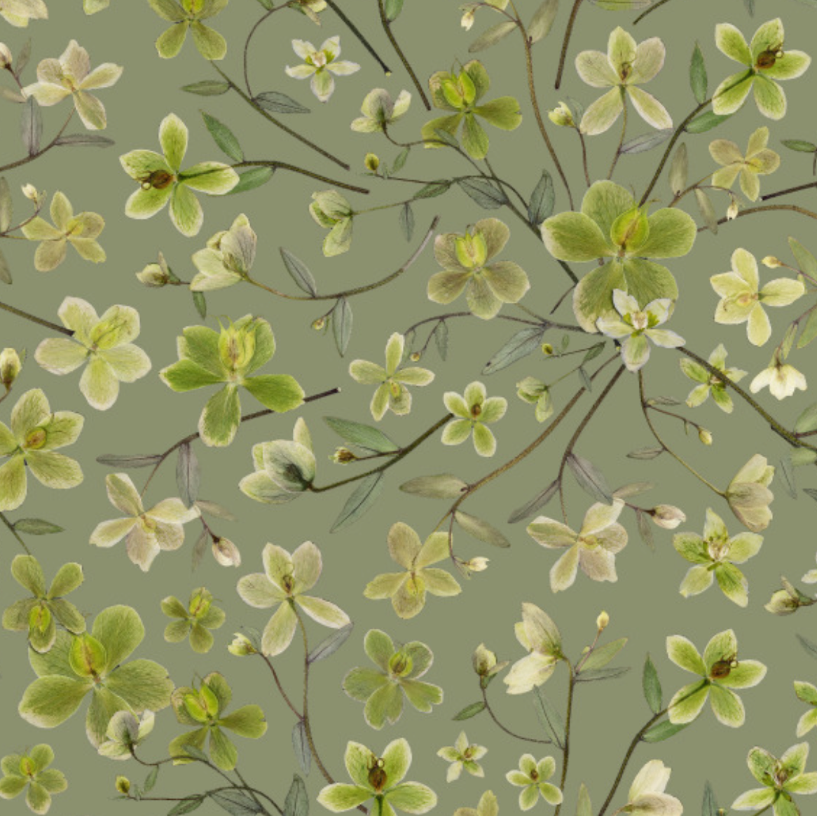 Hellebore Grove Wallpaper