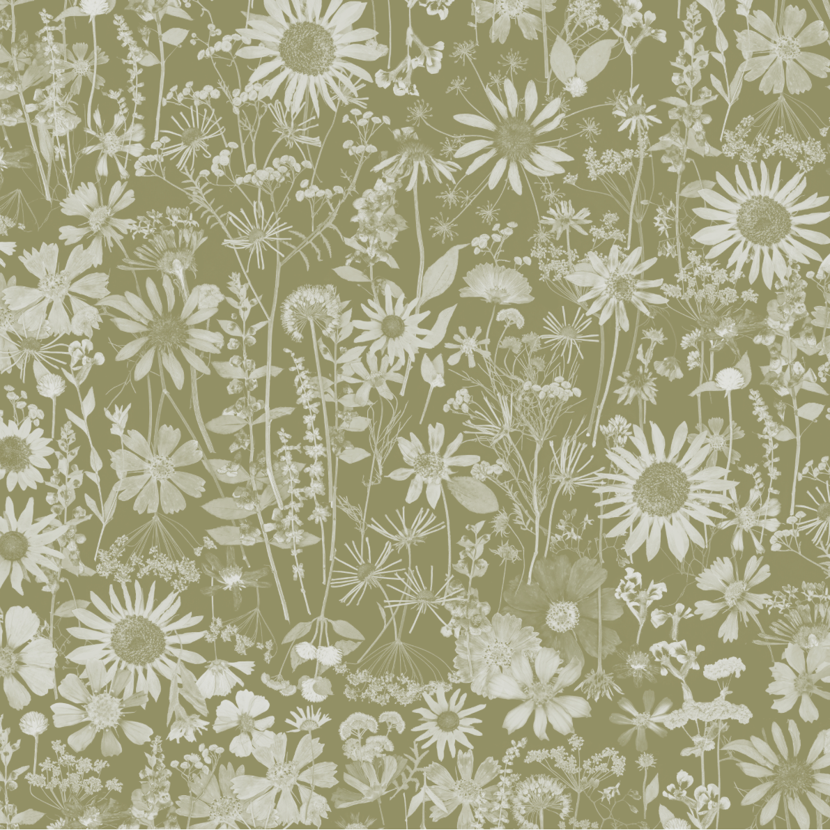 Memory of Summer Pear Wallpaper
