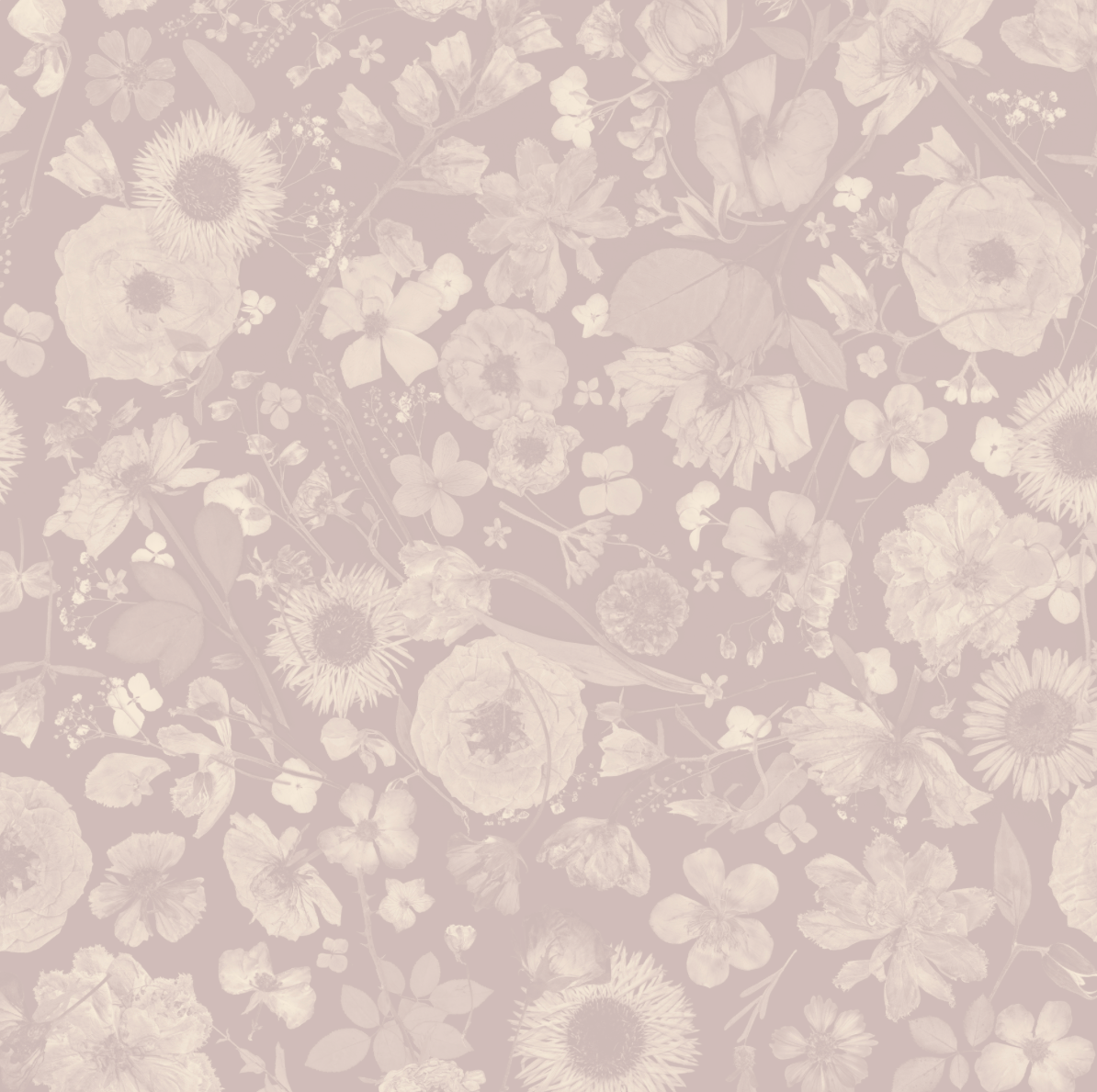 Petals in the Night Mauve Wallpaper