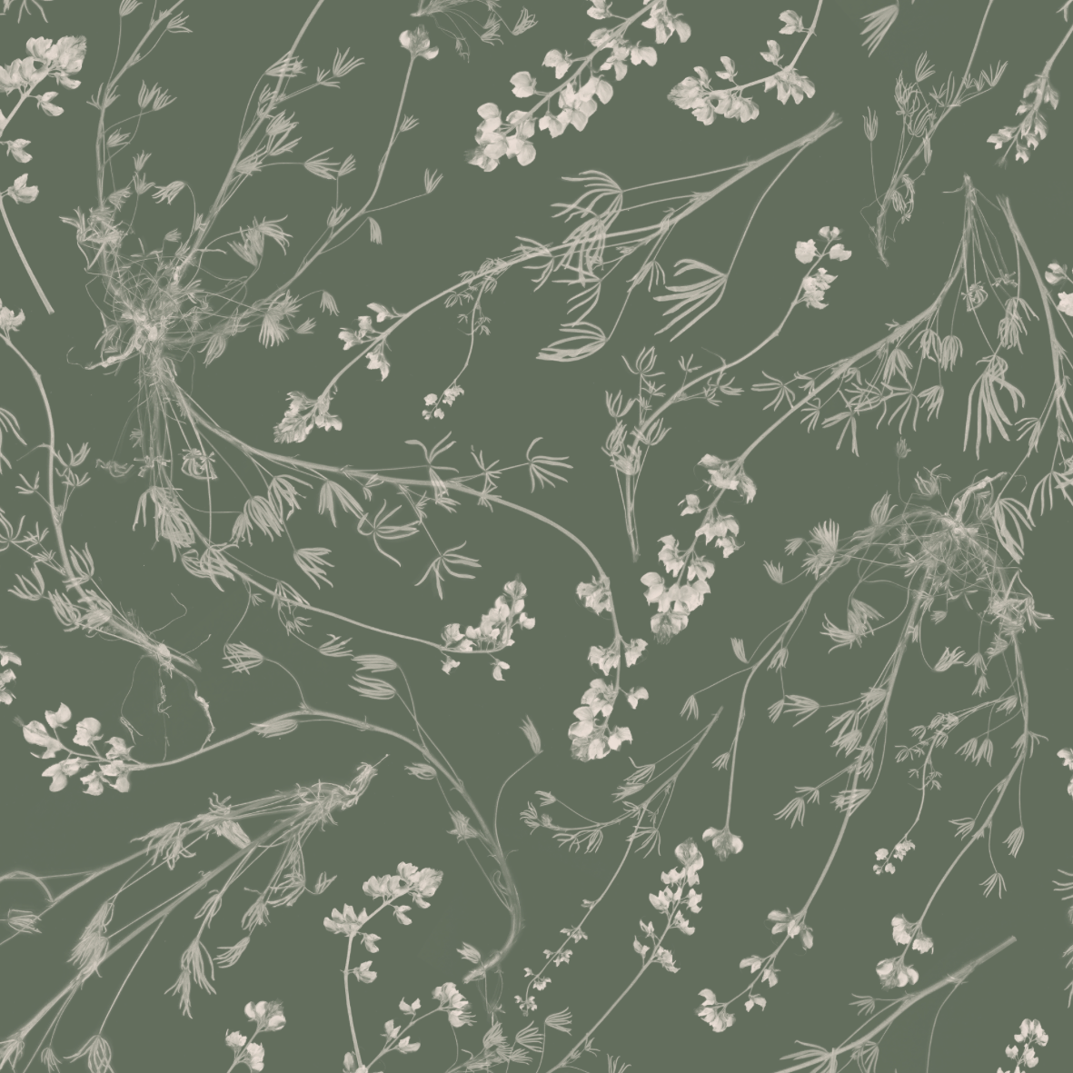 Wild Lupine Thyme Wallpaper