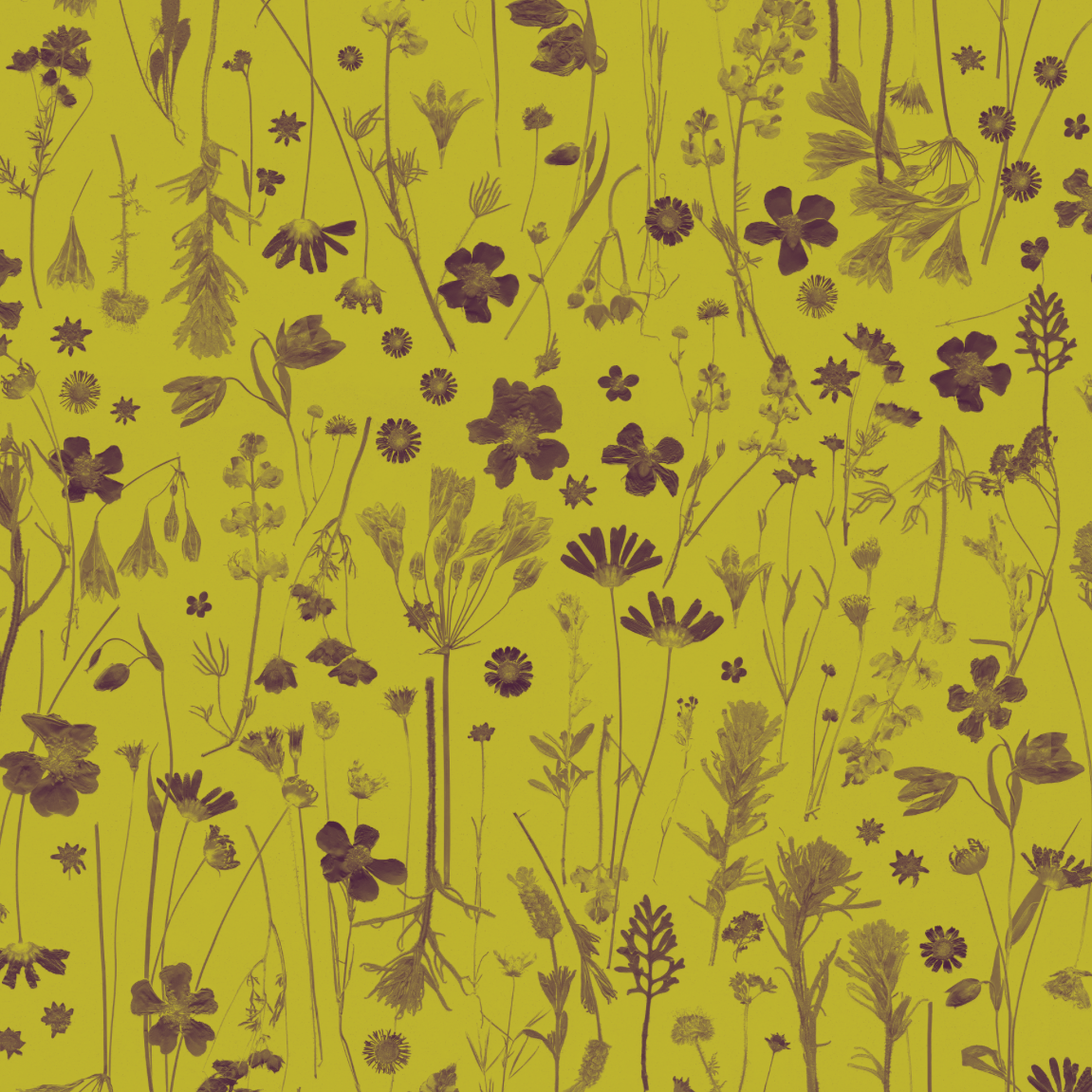 Farm Flowers Peridot Wallpaper
