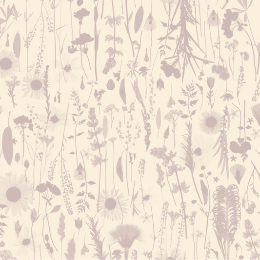 Golden Hour Mauve Wallpaper