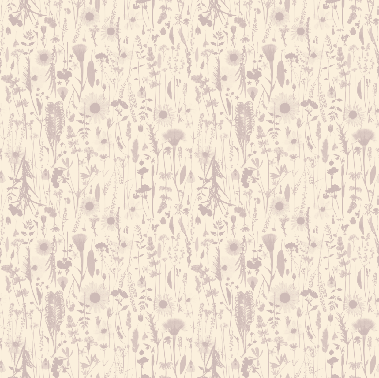 Golden Hour Mauve Wallpaper