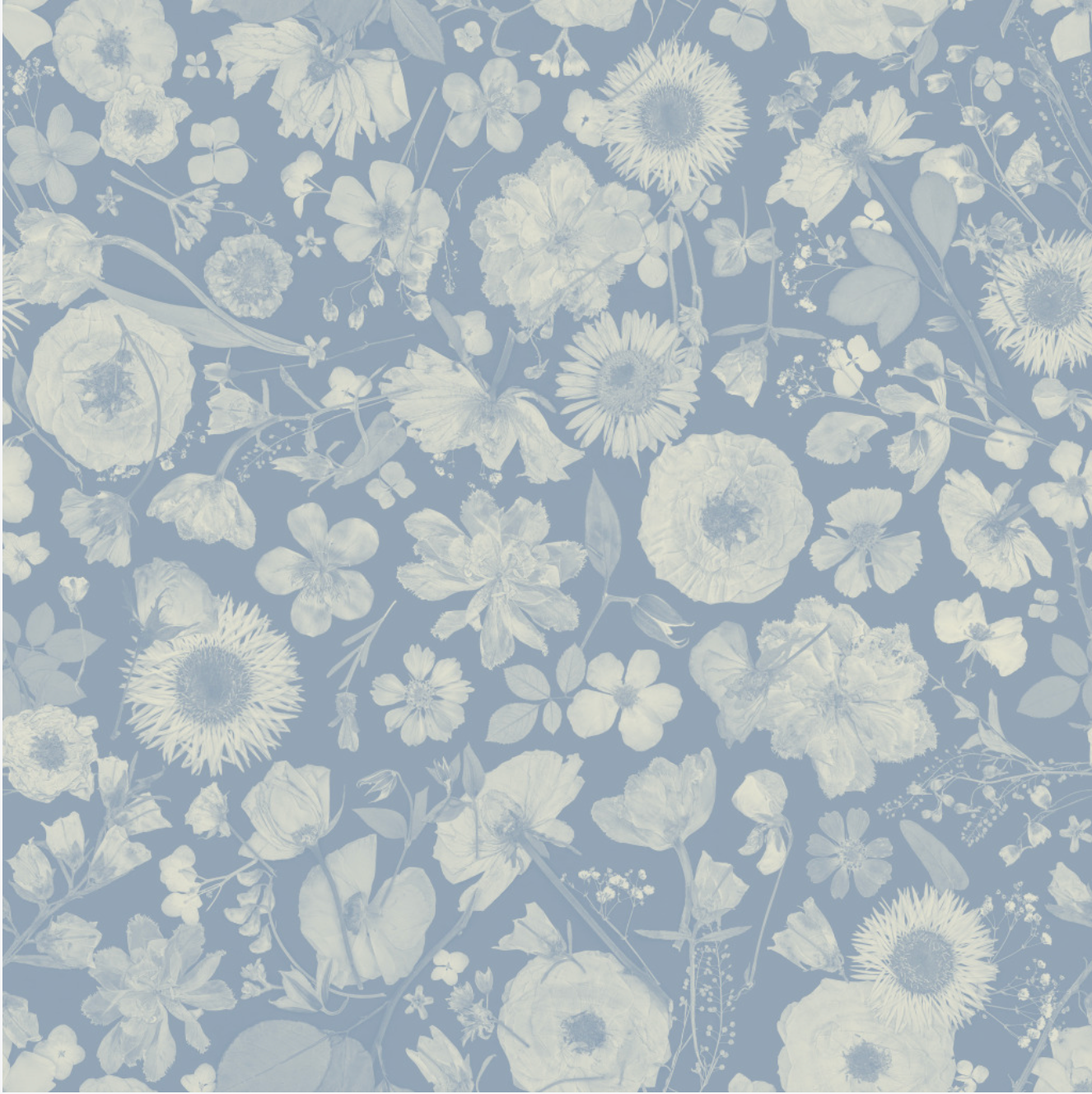 Petals in the Night Dusk Wallpaper