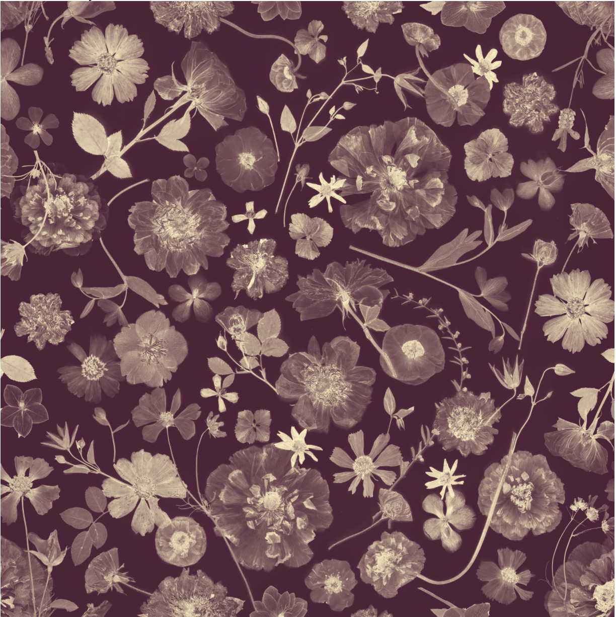Garden Party Currant Wallpaper